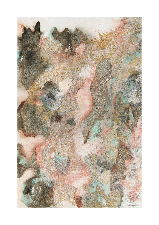 Angophora Gum - 14244