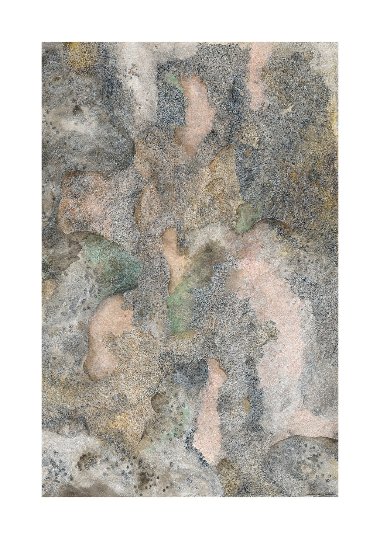 Spotted Gum Pink - 14895