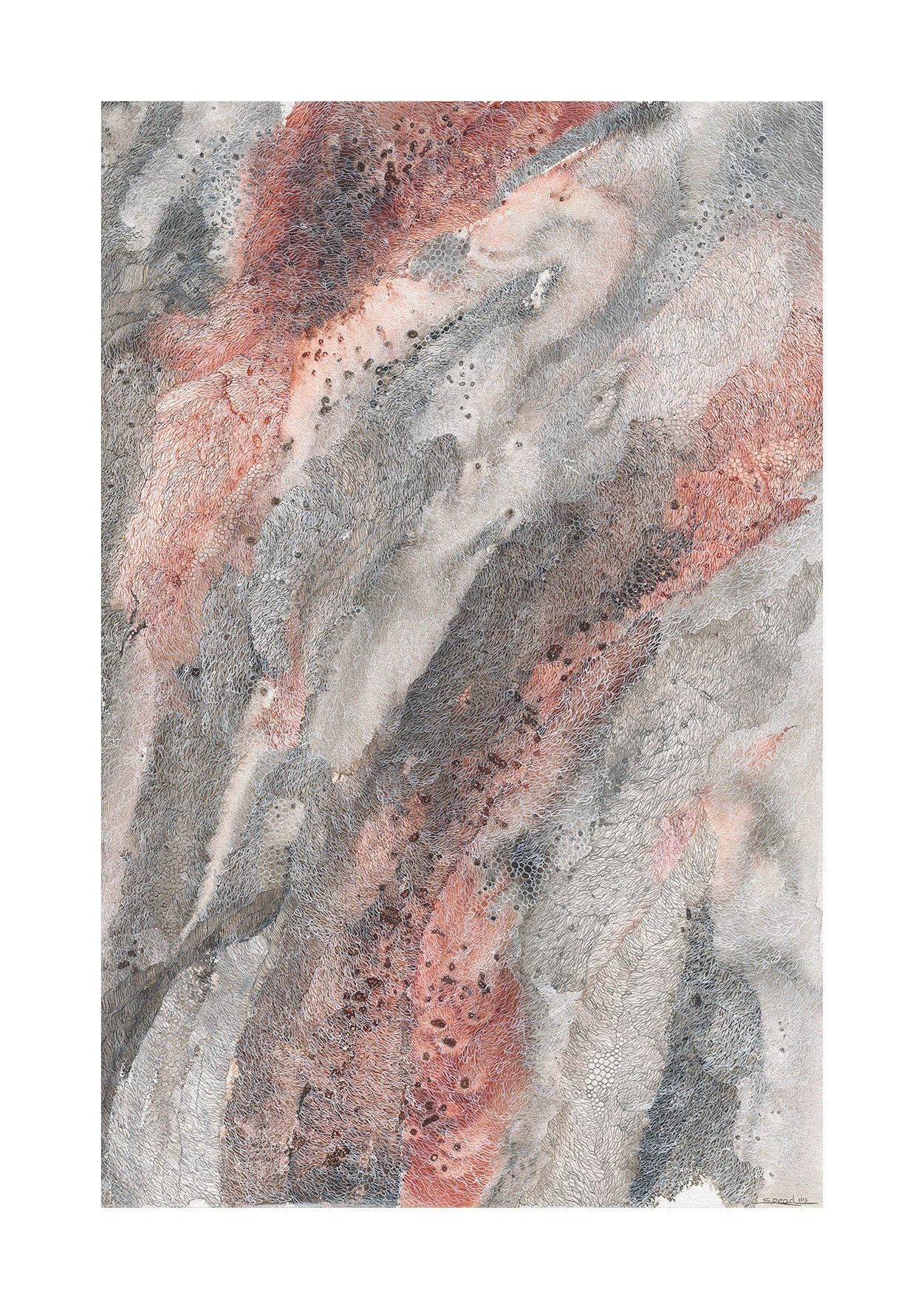 Perisher Snow Gum - 14897