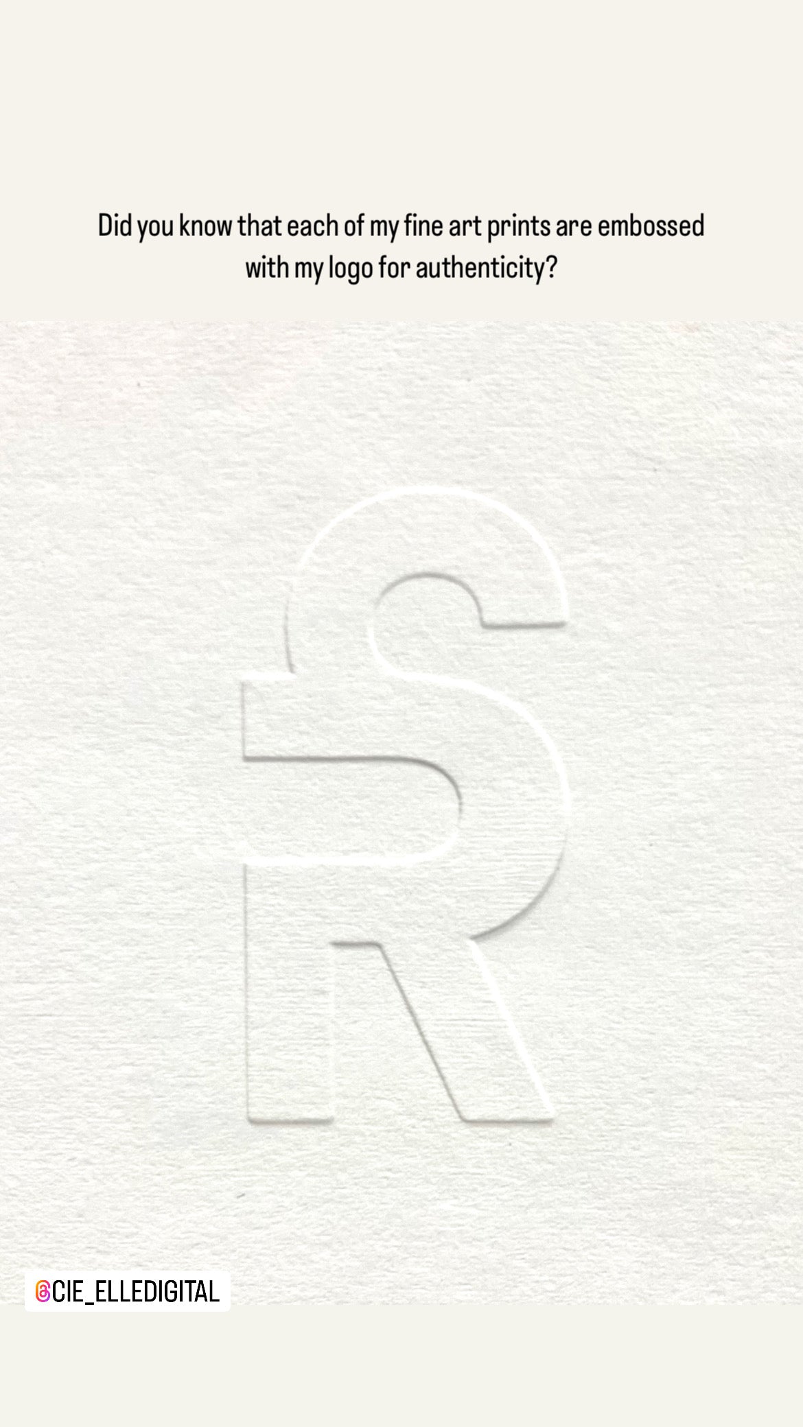 Scribbly Gum II - 14898