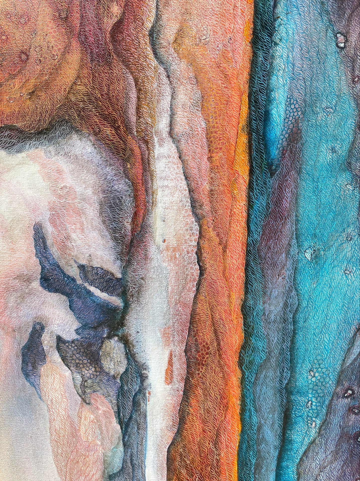 Shark Bay - Where Land and Sea Soften