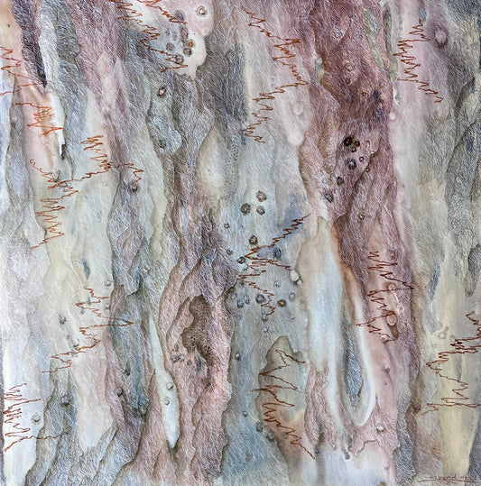 Scribbly Gum - Fred Caterson Reserve